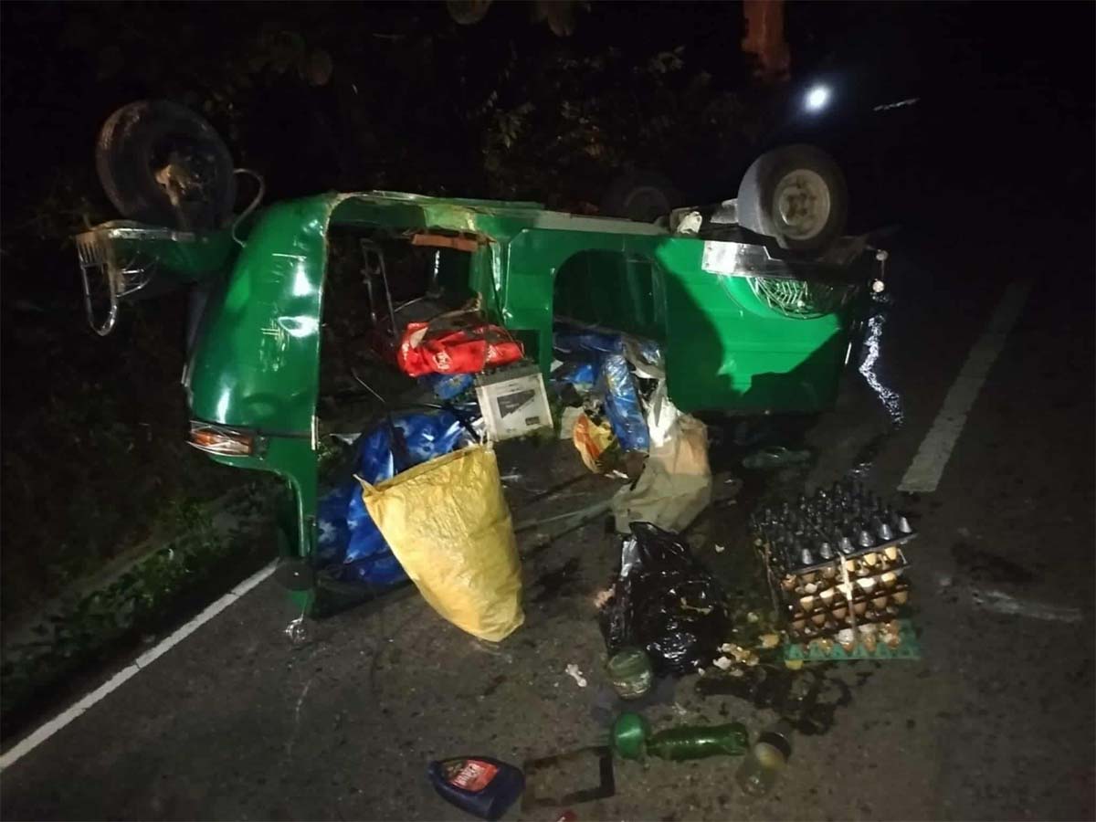 রাঙ্গামাটির আসামবস্তী- কাপ্তাই সড়কে বন্যহাতির আক্রমণে হতাহত দুই